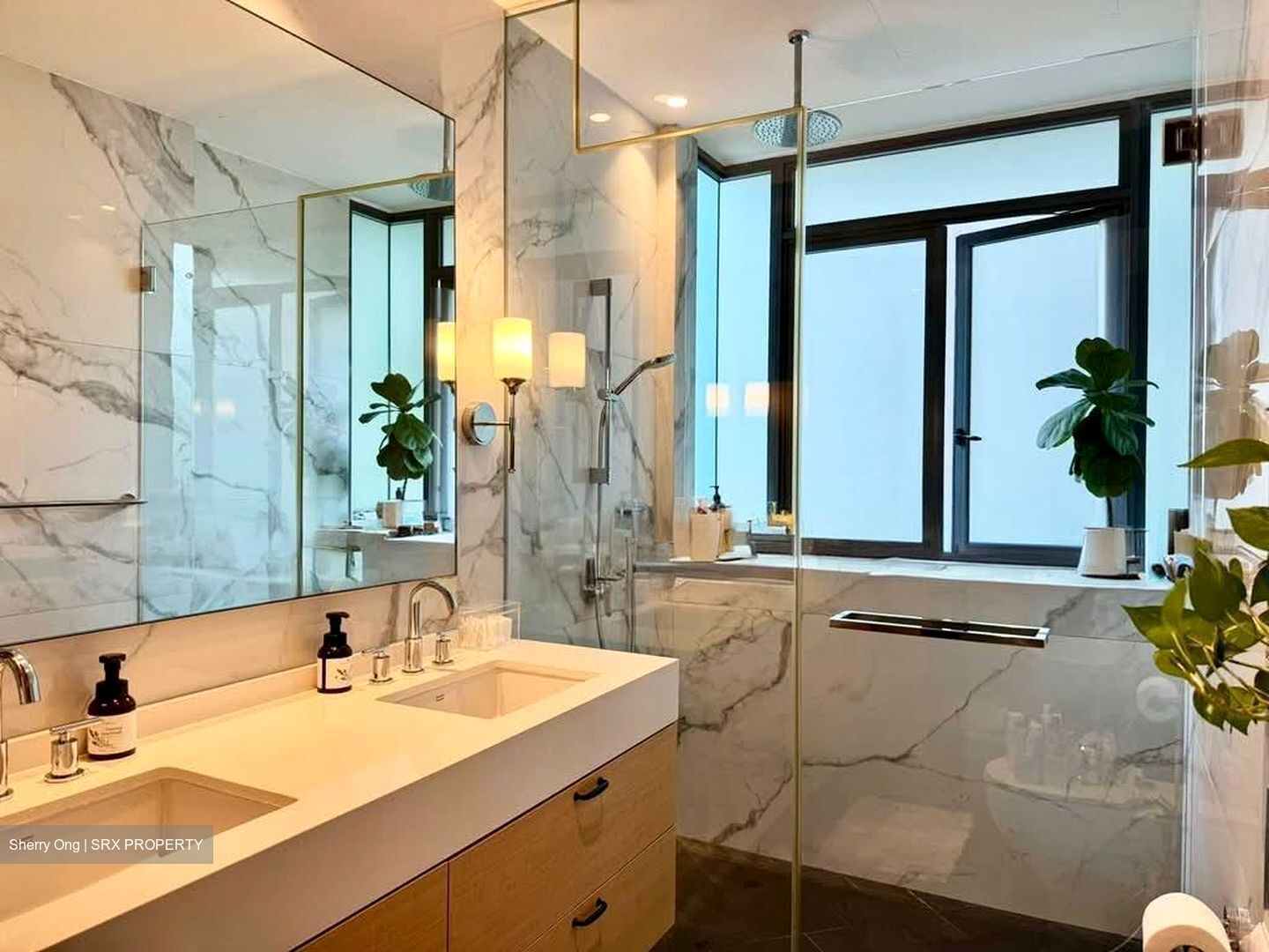 Duet (D10), Condominium #527443841